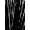 Folhas em Preto e Branco 2 - Image 2